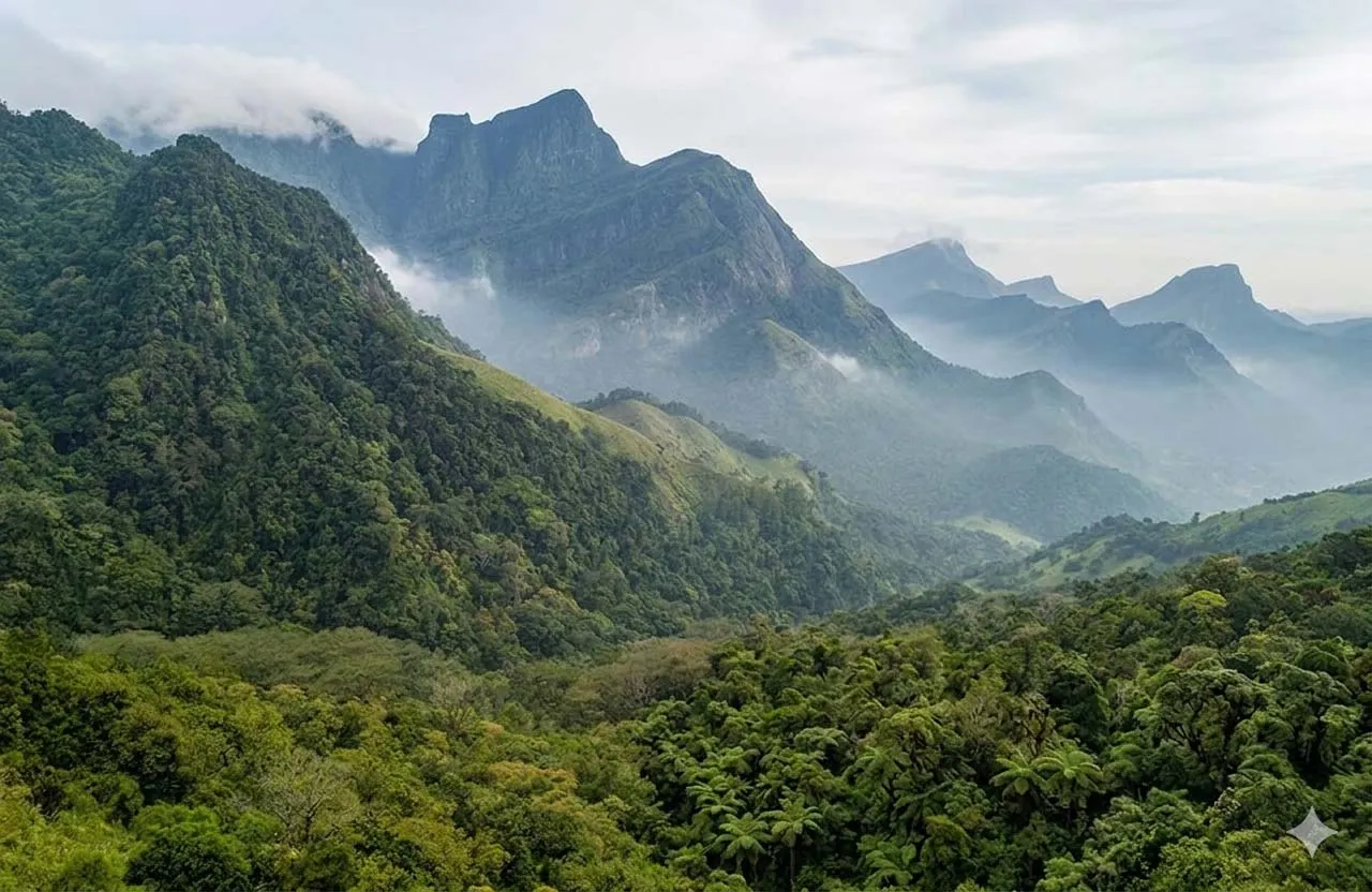 Knuckles Mountain Range
