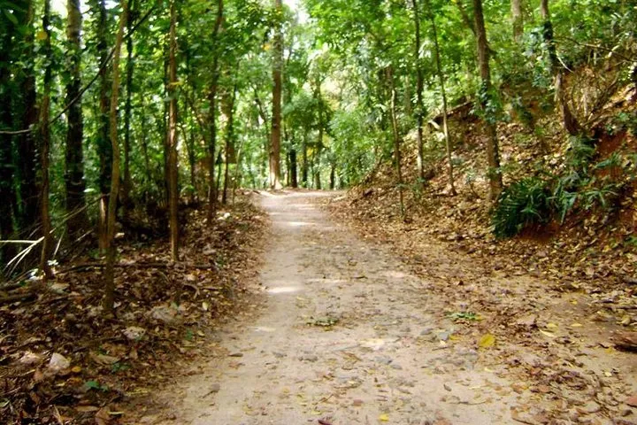 Udawatte Kele Sanctuary